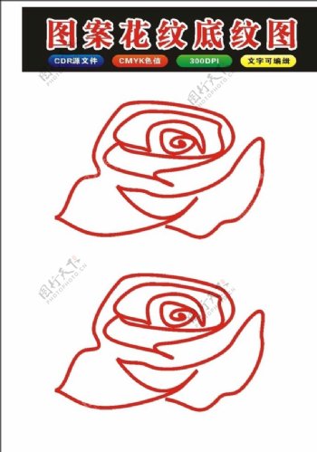 原创手绘玫瑰花和花牡丹原创
