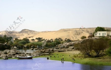 埃及阿斯旺旅游景观摄影