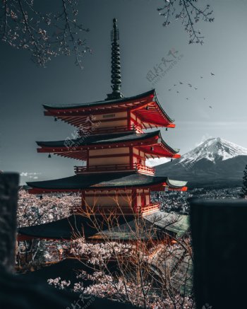 日本塔楼富士山