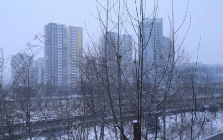 雪景