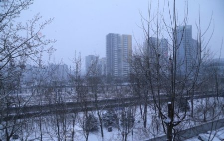 都市雪景