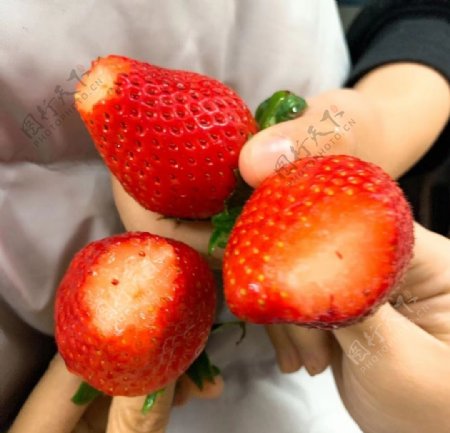 草莓摄影图