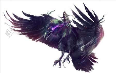 紫鸟