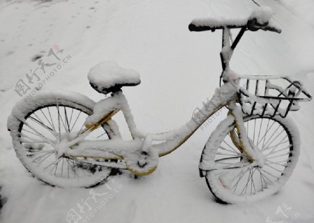 雪中的单车