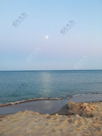 海滩砂海月亮