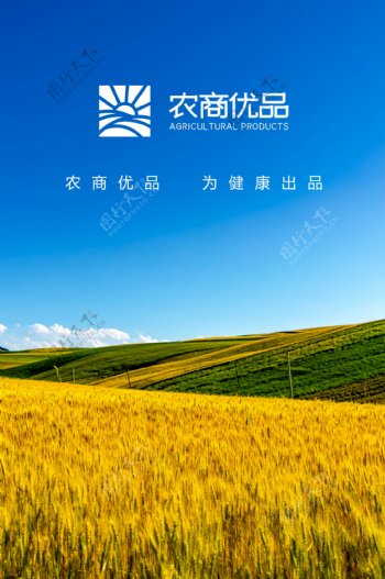 农商优品小麦蓝天白云风景
