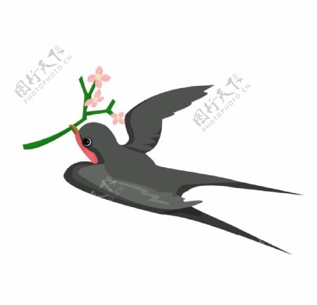 燕子插画