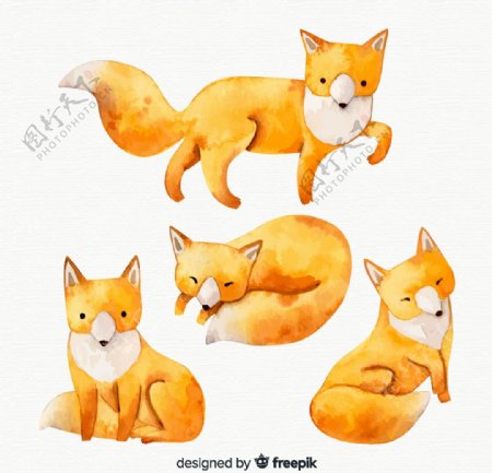 4款水彩绘狐狸设计