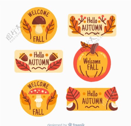 6款可爱秋季标签