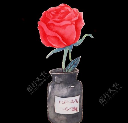 水彩画花包装素材玫瑰插画