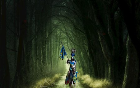 森林骑士