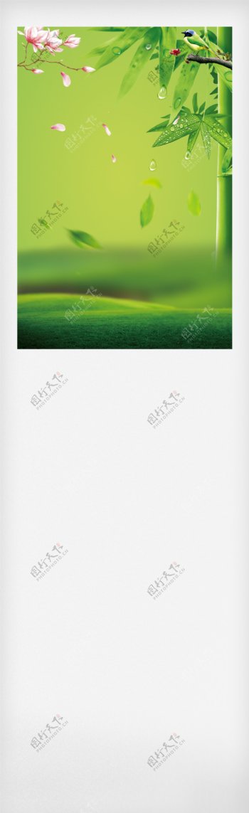 绿色清新春茶海报设计