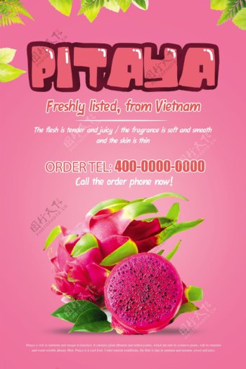 越南火龙果粉色海报