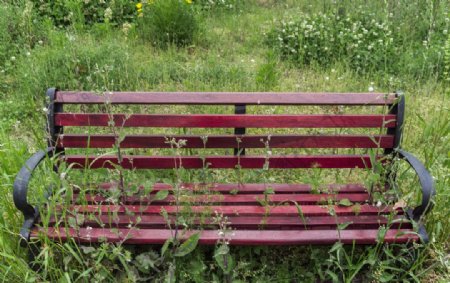 杂草丛生的公园长椅