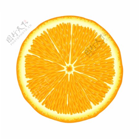 橘子片素材