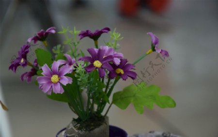 紫色小雏菊假花