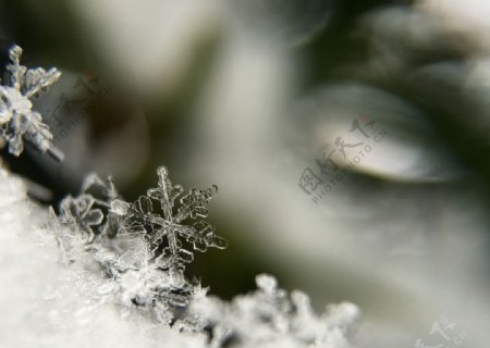 雪花背景