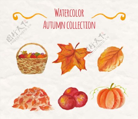 水彩绘秋季元素矢量素材
