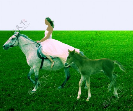 草原美女骑马
