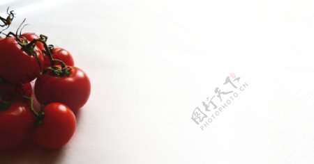 西红柿番茄圣女果