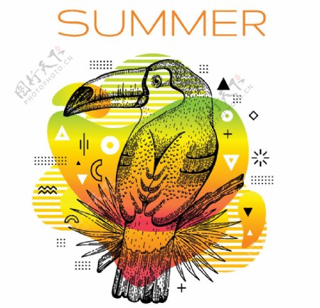 炫彩夏季海报巨嘴鸟