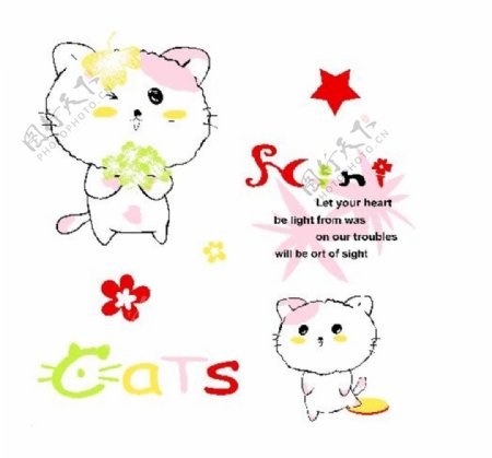 猫咪