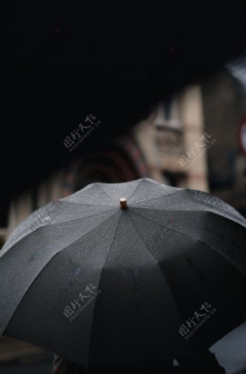雨伞花伞遮阳伞太阳伞
