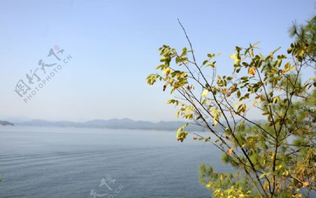 千岛湖的秋天