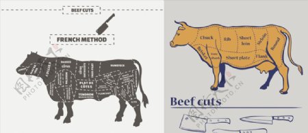 家禽解剖分割结构图矢量牛肉