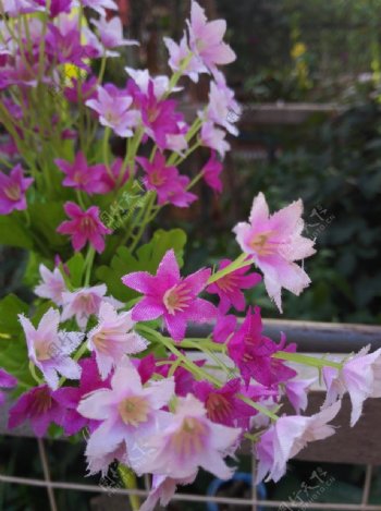 澳洲石斛粉色假花花朵