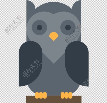 猫头鹰动物标志图形图标装饰素材