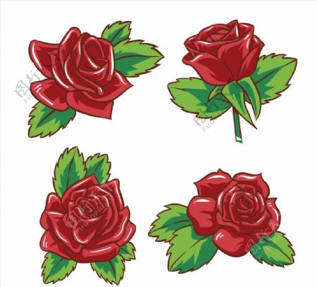 美丽红玫瑰花矢量素材