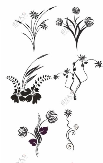 欧式植物花纹图案