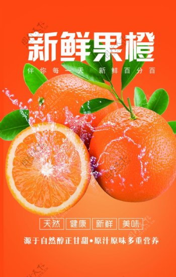果橙海报