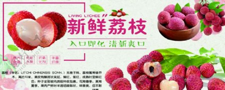 新鲜荔枝水果健康卫生