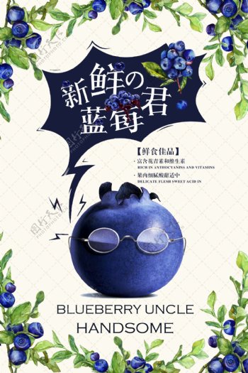 蓝莓水果促销活动宣传海报素材