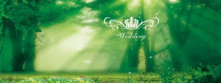绿色婚礼背景
