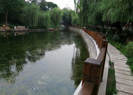 公园风景池塘