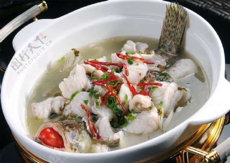 浆水菜煮桂鱼