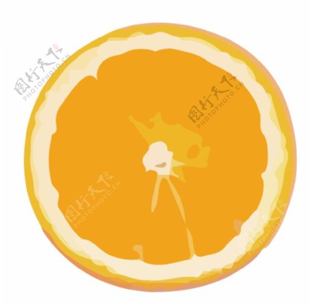 橙子桔子橘子水果蔬菜切片矢量图