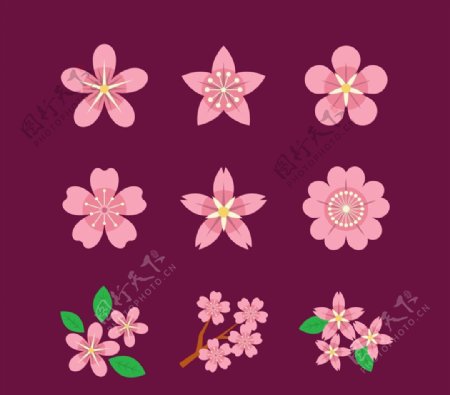粉色樱花图标图片