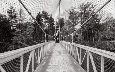 吊桥桥梁黑白墙画背景素材图片