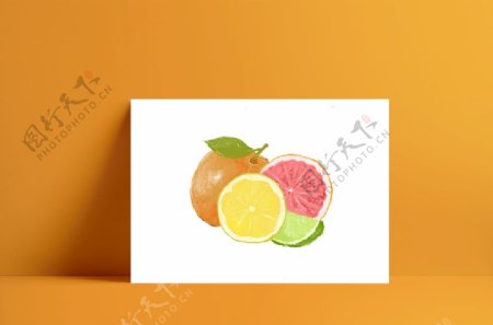 橘子西柚柠檬水果插画素材图片