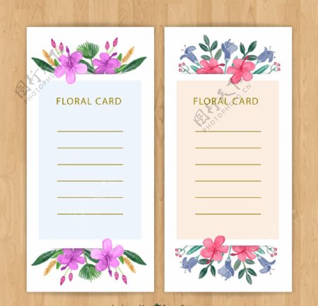 热带花卉信纸卡片图片