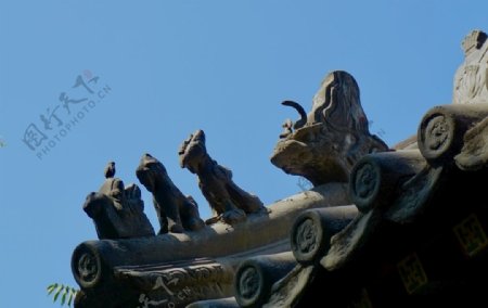 雍和宫之脊兽图片