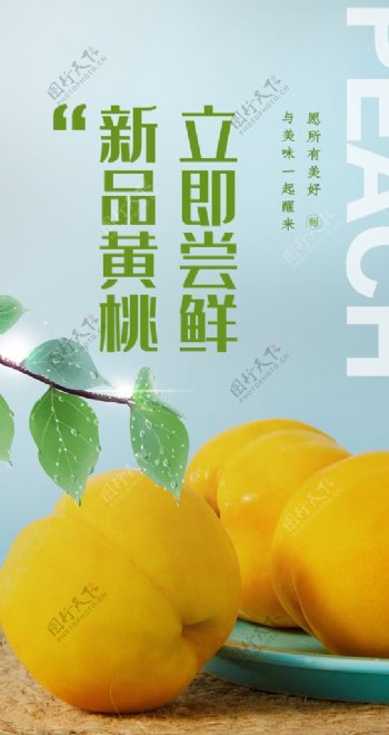 黄桃水果夏季海报素材图片