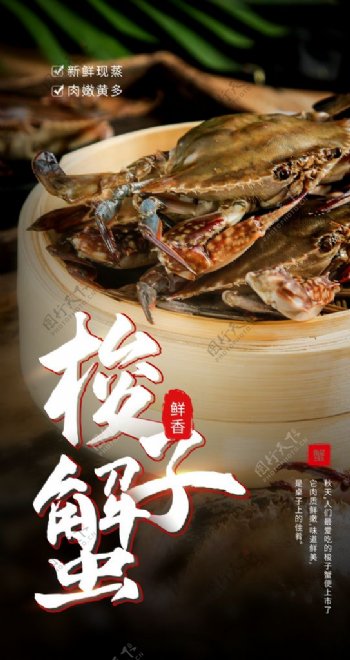 梭子蟹美食食材活动海报素材图片