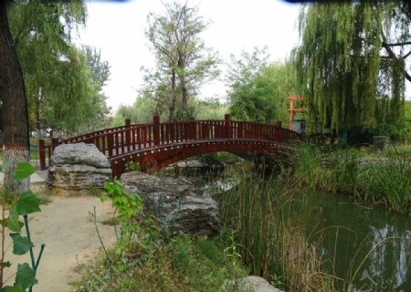 公园里的桥图片