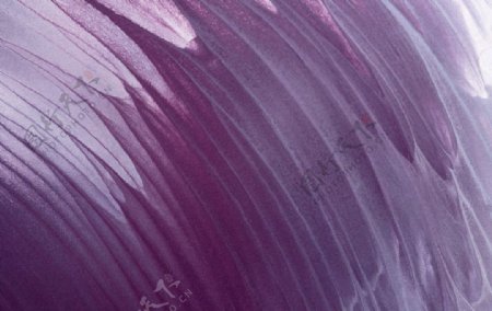 紫色水彩油画背景图片