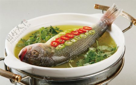 明炉醋椒鱼图片